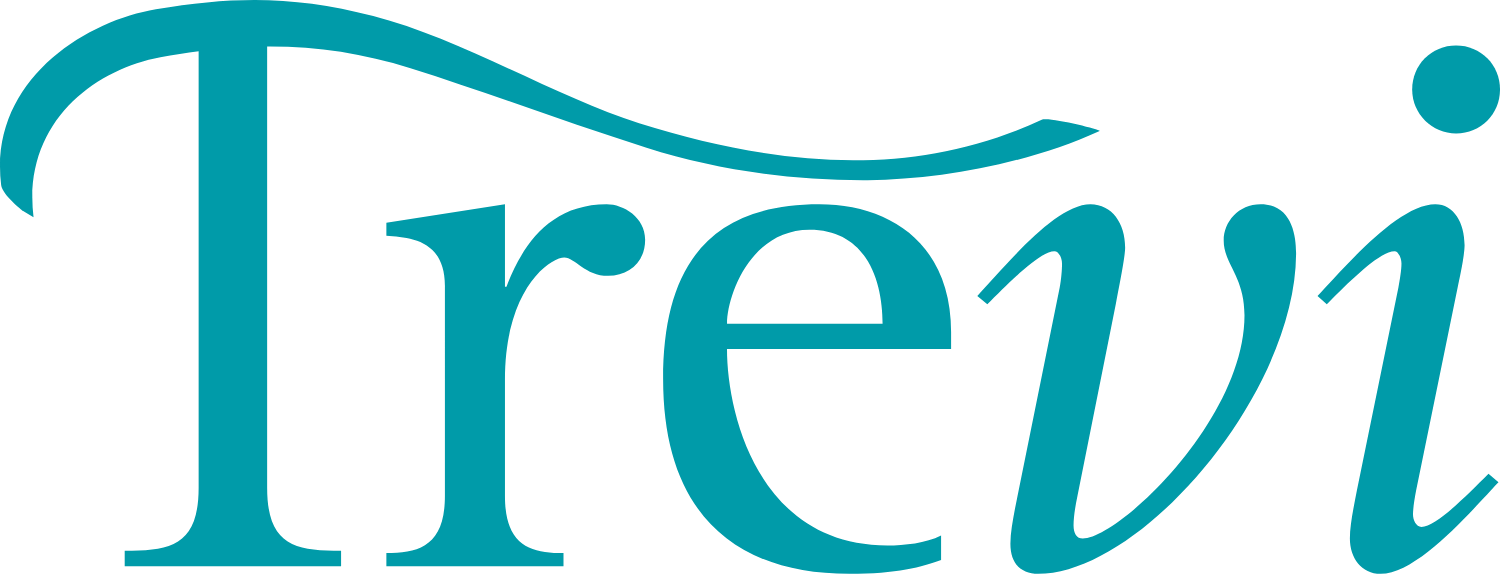 Trevi Revision